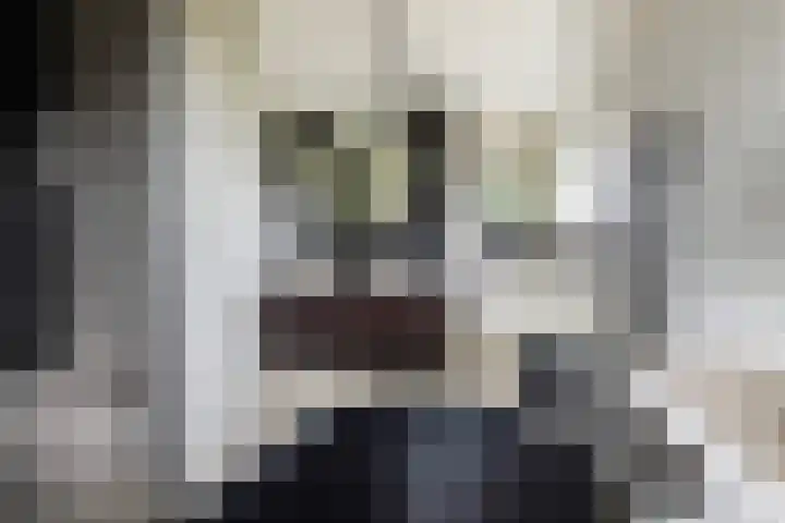 Bandhaak 10 Papendrecht thumbnail 48