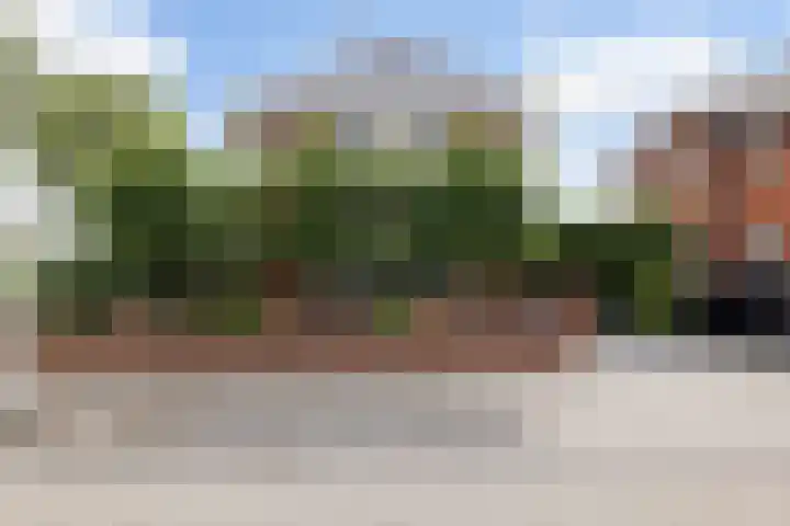 Bandhaak 10 Papendrecht thumbnail 5