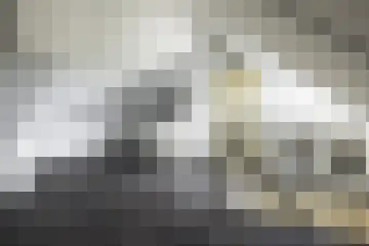 Bandhaak 10 Papendrecht thumbnail 51