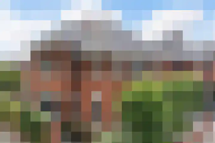 Bandhaak 10 Papendrecht thumbnail 55
