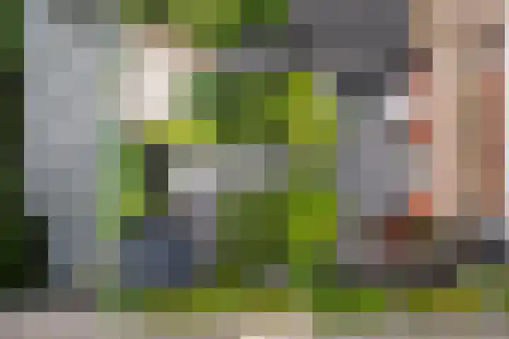 Bandhaak 10 Papendrecht thumbnail 56