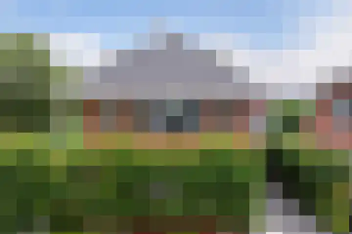 Bandhaak 10 Papendrecht thumbnail 57