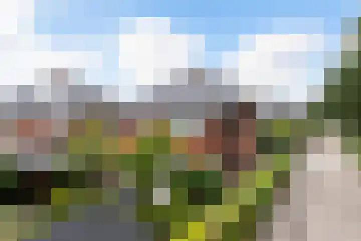 Bandhaak 10 Papendrecht thumbnail 58