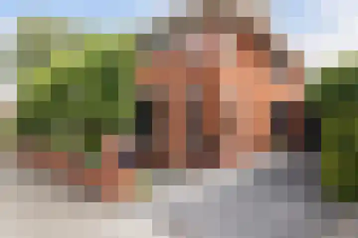 Bandhaak 10 Papendrecht thumbnail 6