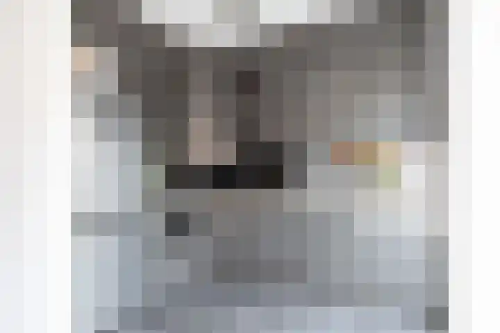 Bandholm 87 Hoofddorp thumbnail 15