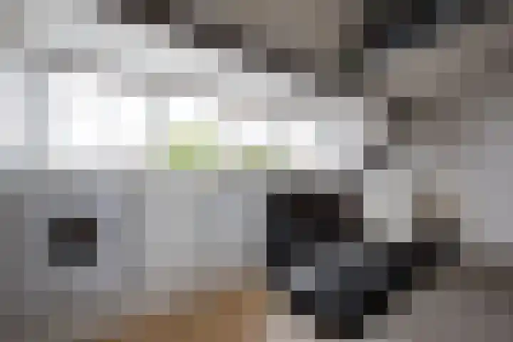 Bandholm 87 Hoofddorp thumbnail 32