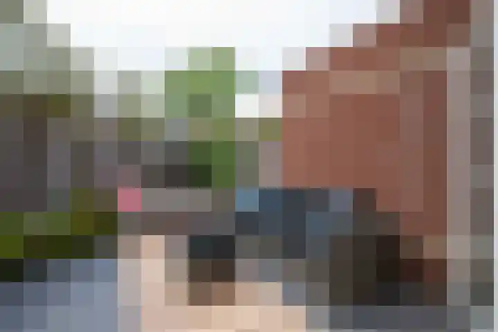 Bandholm 87 Hoofddorp thumbnail 33