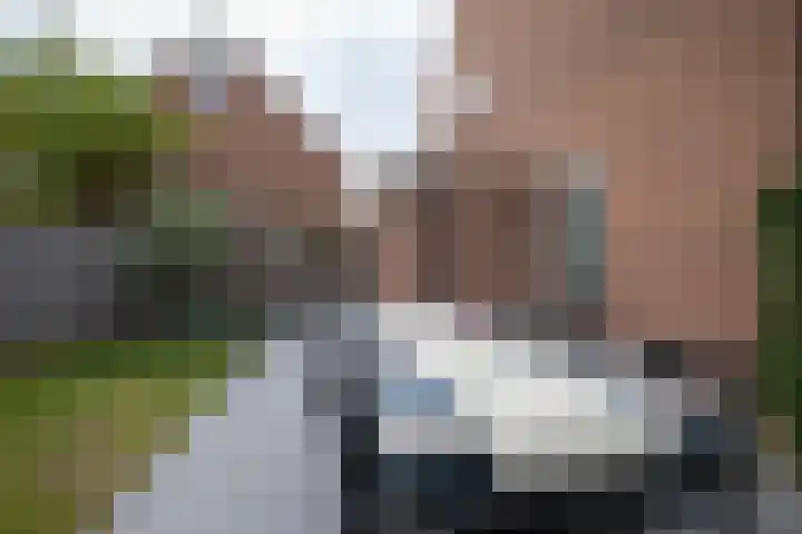 Bandholm 87 Hoofddorp thumbnail 38