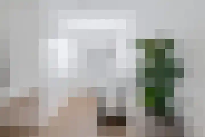 Bandoengstraat 15 Haarlem thumbnail 23
