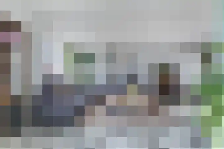 Bandsloot 1 C Bantega thumbnail 10