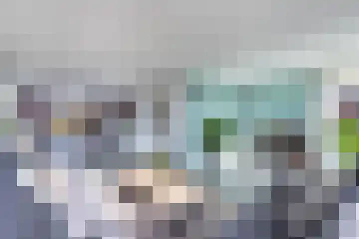 Bandsloot 1 C Bantega thumbnail 11