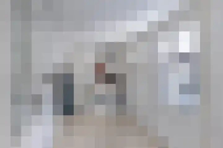 Bandsloot 1 C Bantega thumbnail 21