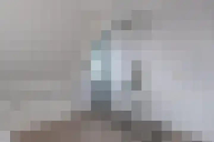 Bandsloot 1 C Bantega thumbnail 28