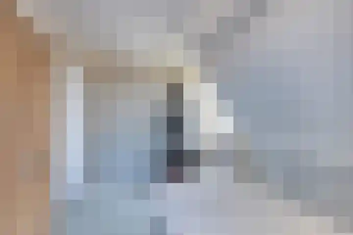 Bandsloot 1 C Bantega thumbnail 30