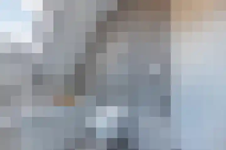 Bandsloot 1 C Bantega thumbnail 35