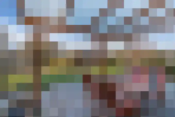 Bandsloot 1 C Bantega thumbnail 38