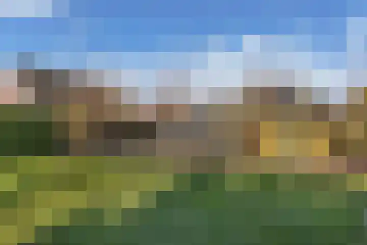 Bandsloot 1 C Bantega thumbnail 40