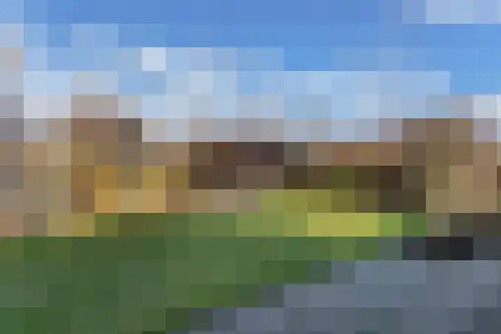 Bandsloot 1 C Bantega thumbnail 41