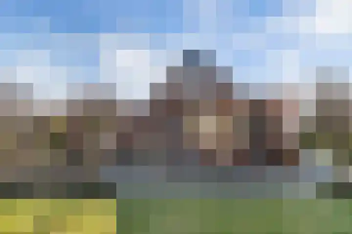 Bandsloot 1 C Bantega thumbnail 44