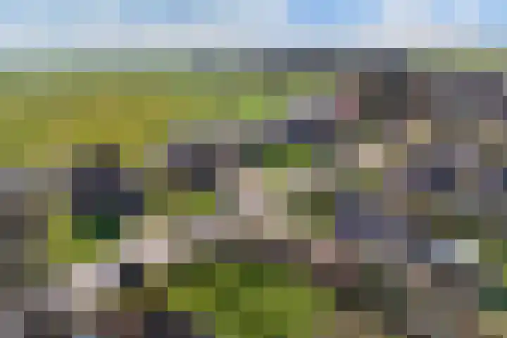 Bandsloot 1 C Bantega thumbnail 47