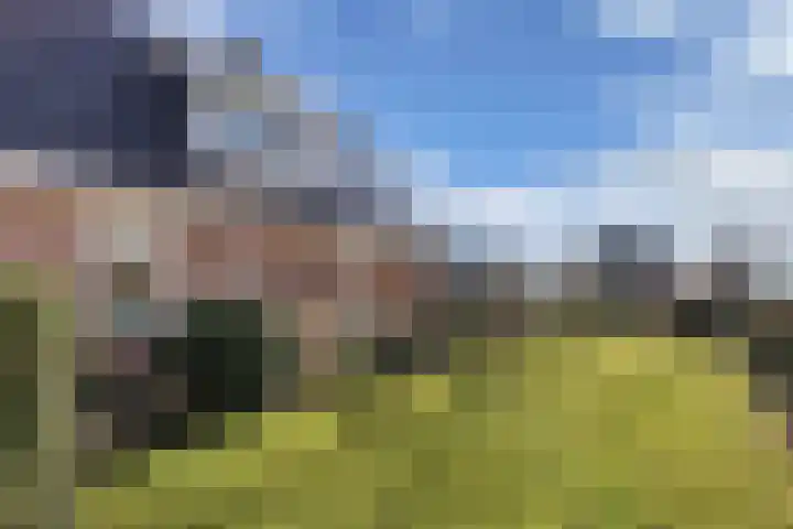 Bandsloot 1 C Bantega thumbnail 48
