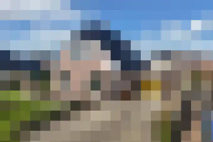 Bandsloot 1 C Bantega thumbnail 53