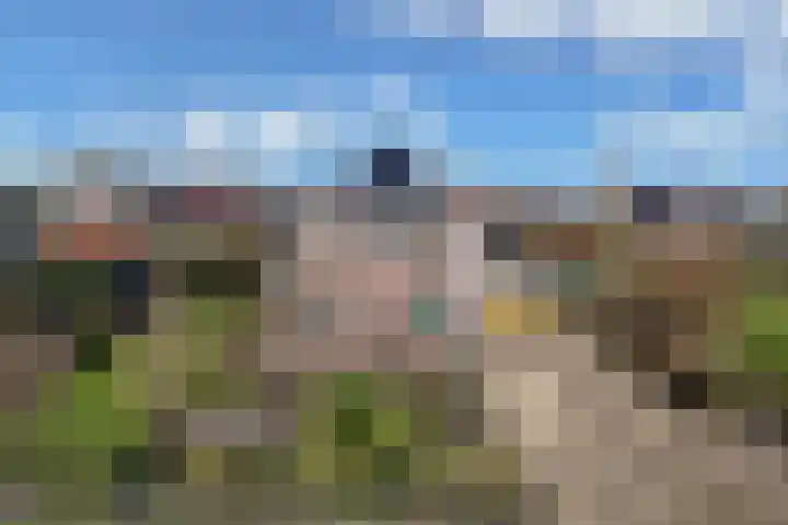 Bandsloot 1 C Bantega thumbnail 54