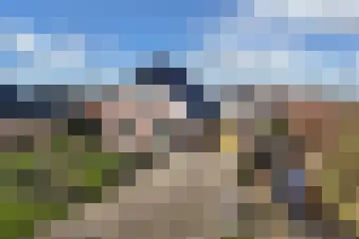 Bandsloot 1 C Bantega thumbnail 56
