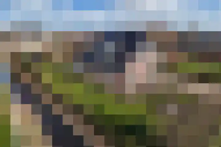 Bandsloot 1 C Bantega thumbnail 58