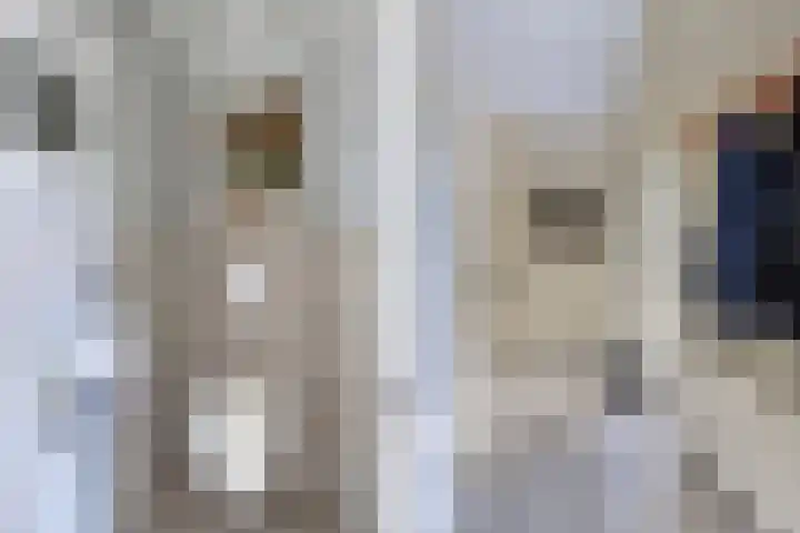 Bandsloot 1 C Bantega thumbnail 6