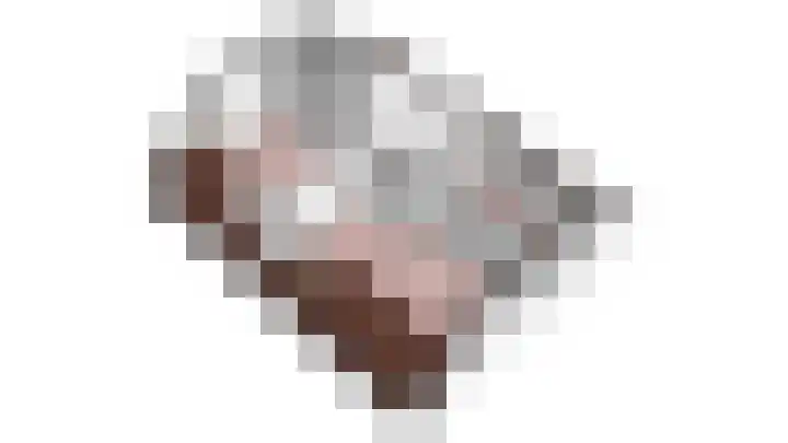 Bandsloot 1 C Bantega thumbnail 65