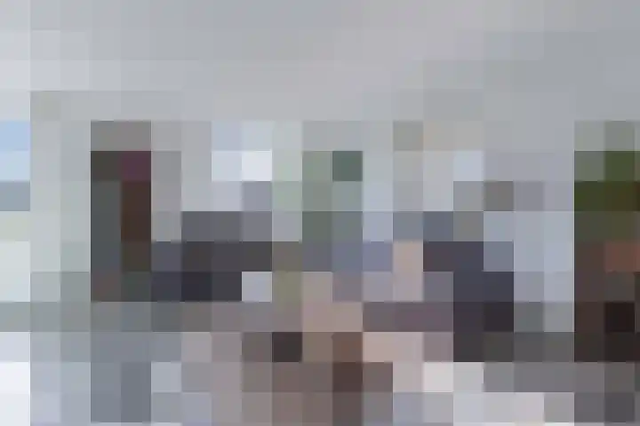 Bandsloot 1 C Bantega thumbnail 7