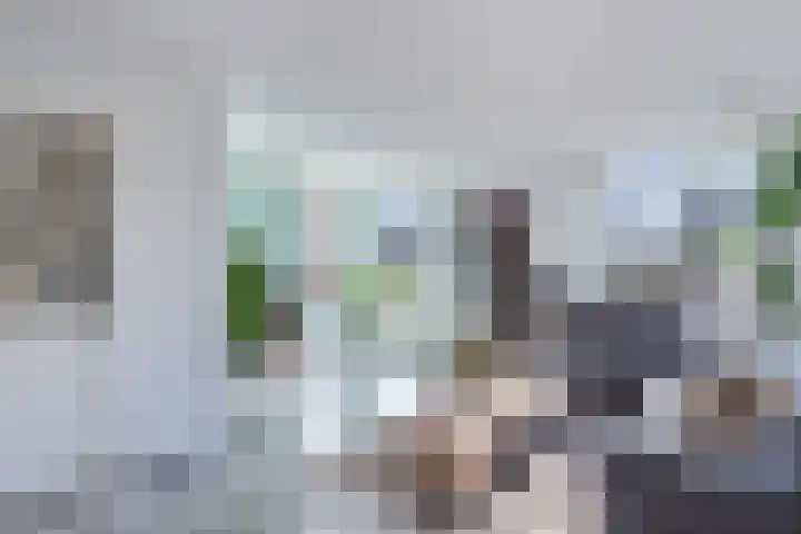 Bandsloot 1 C Bantega thumbnail 8