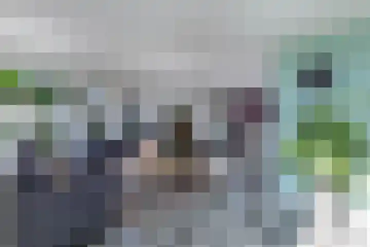 Bandsloot 1 C Bantega thumbnail 9