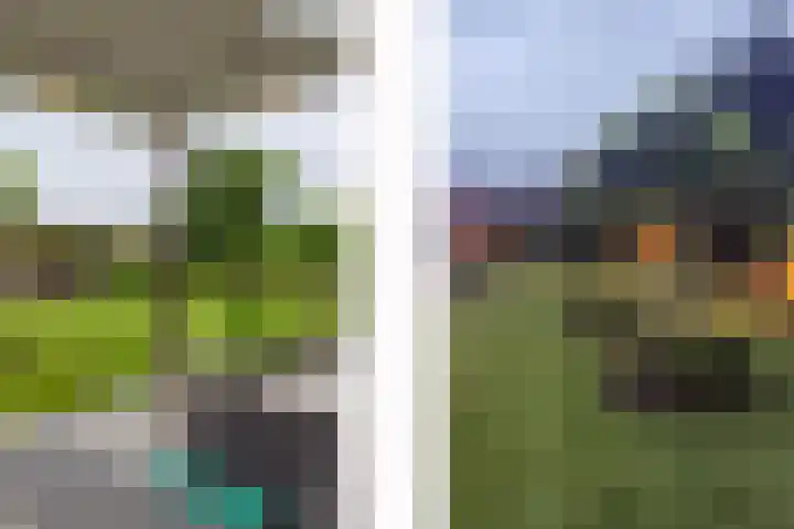 Bandstraat 1 A Born thumbnail 30