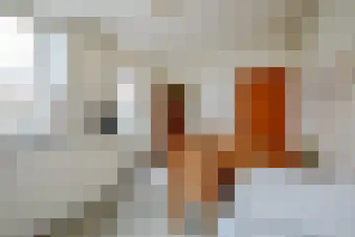 Bangert 21 Medemblik thumbnail 13