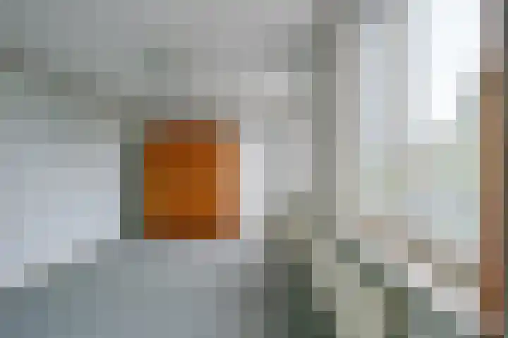 Bangert 21 Medemblik thumbnail 22