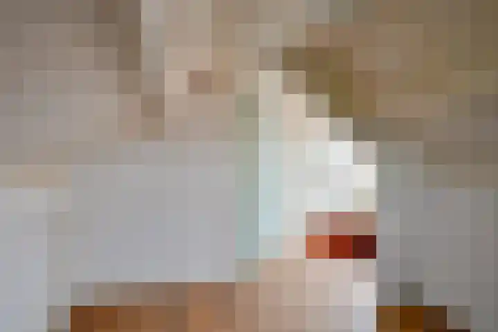Bangert 21 Medemblik thumbnail 30