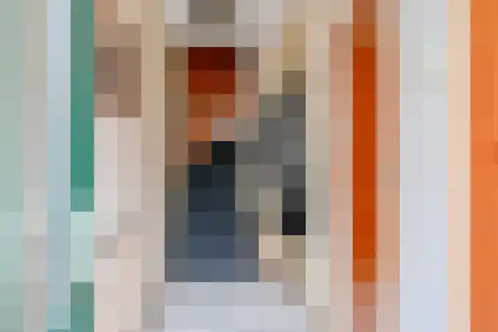Bangert 21 Medemblik thumbnail 8