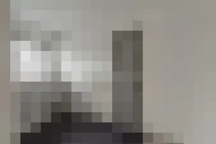 Banier 1 Leerdam thumbnail 20