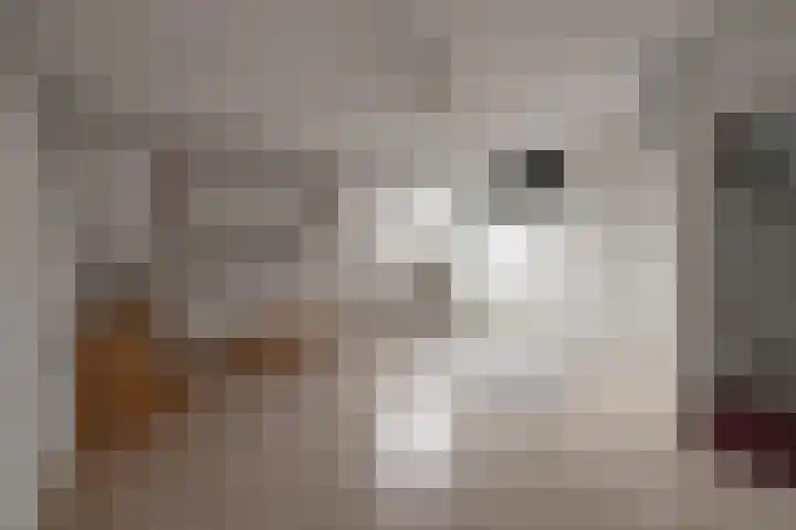 Banier 1 Leerdam thumbnail 22