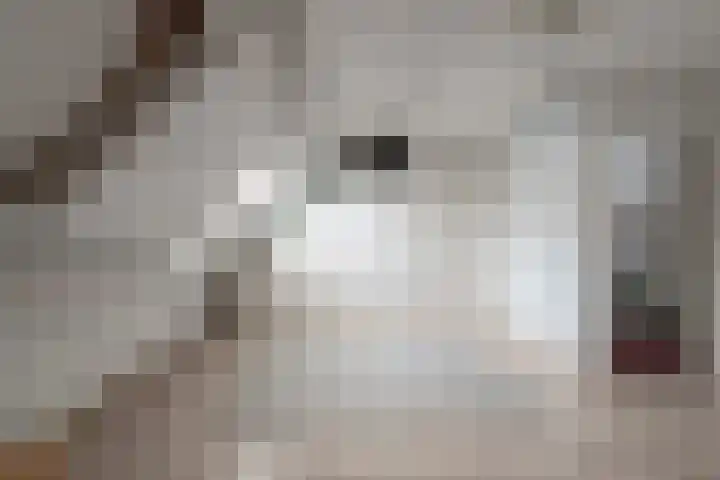 Banier 1 Leerdam thumbnail 23