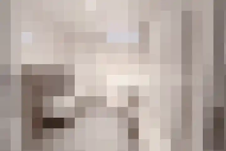 Banier 1 Leerdam thumbnail 28