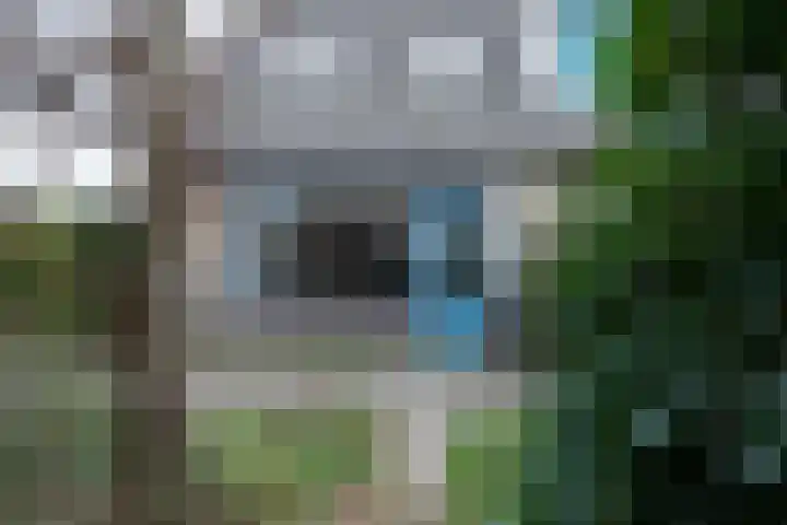 Banier 1 Leerdam thumbnail 36