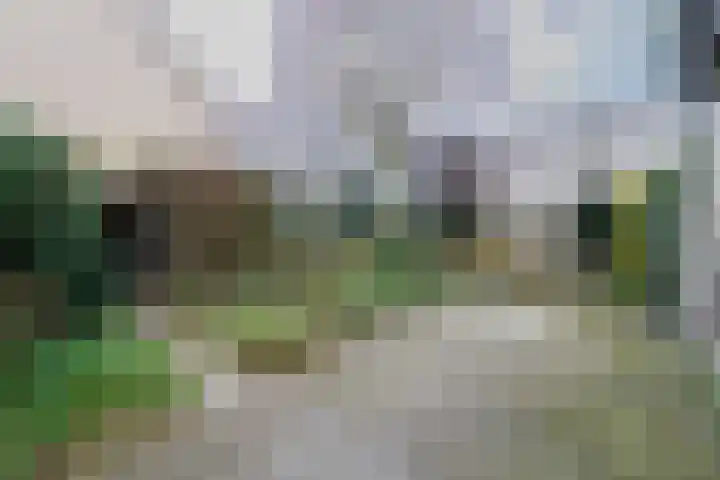 Banier 1 Leerdam thumbnail 37