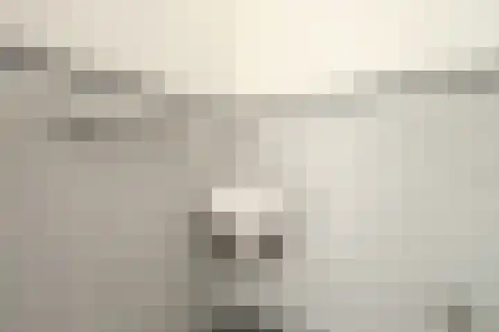 Banier 1 Leerdam thumbnail 7
