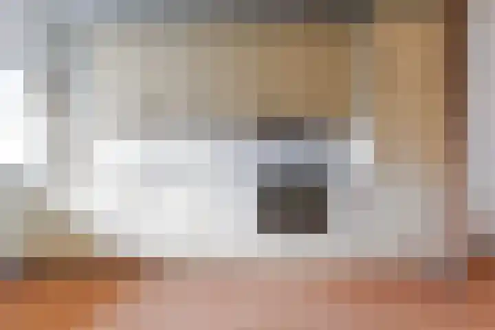 Banier 32 Boxtel thumbnail 30