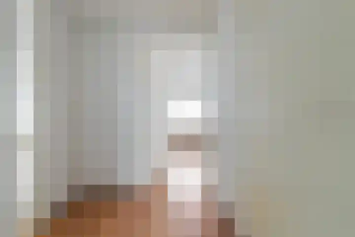 Banier 32 Boxtel thumbnail 35
