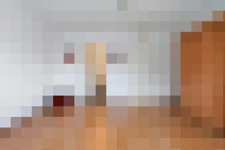 Banier 32 Boxtel thumbnail 37
