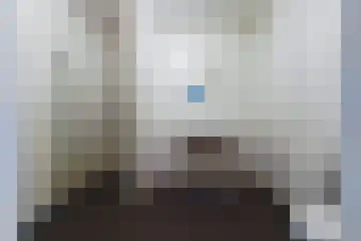 Banier 32 Boxtel thumbnail 39